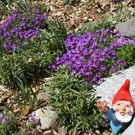 巴格贝克力木屋酒店 公寓 *