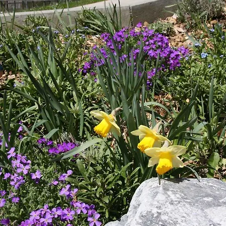 Apartment Chalet Baergbaechli