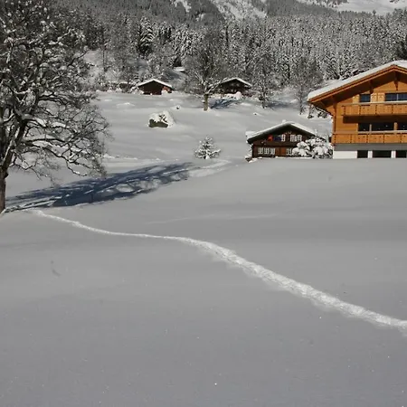 Chalet Baergbaechli Apartment Grindelwald