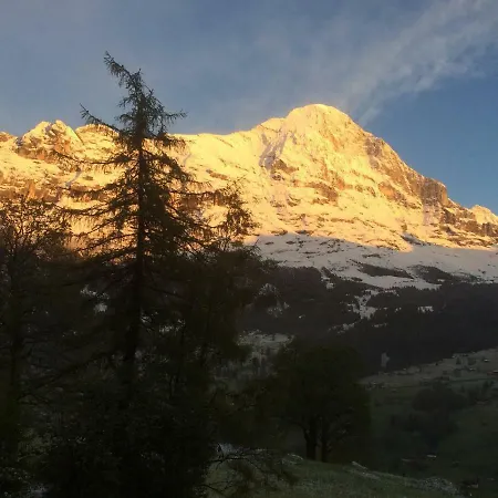 巴格贝克力木屋酒店 公寓 *