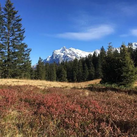 Apartment Chalet Baergbaechli