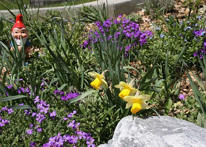 Appartement Chalet Baergbaechli