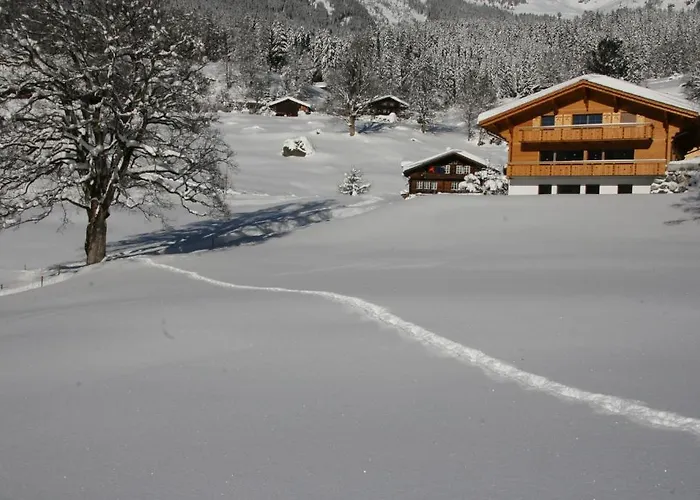 Chalet Baergbaechli Appartement Grindelwald
