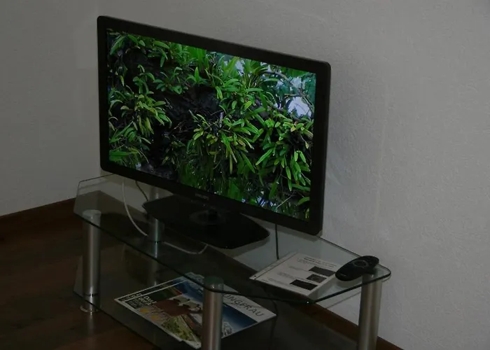 Appartement Chalet Baergbaechli Grindelwald