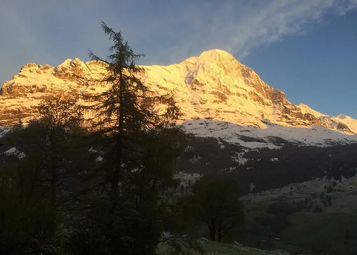 Chalet Baergbaechli Appartement *