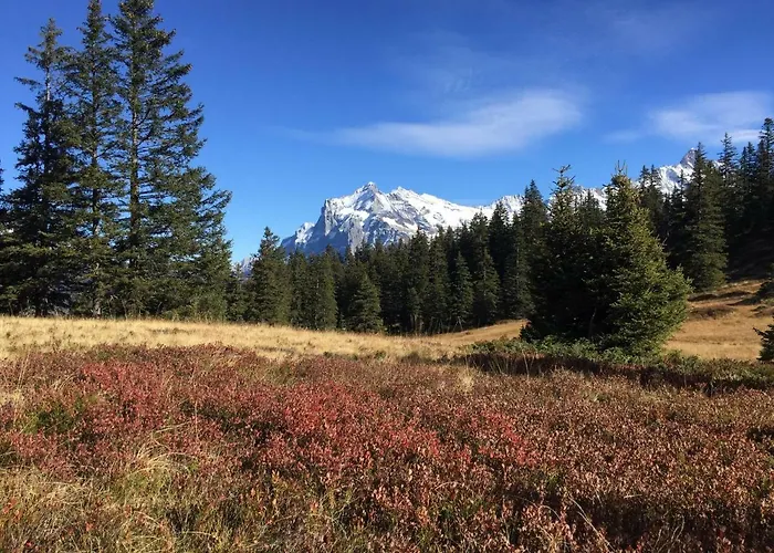 Appartement Chalet Baergbaechli
